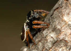 DSC_5846.jpg (83208 bytes)