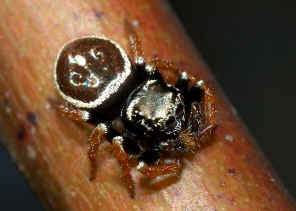 DSC_5851.jpg (83575 bytes)