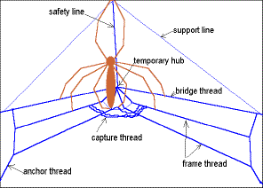 Common3.gif (10123 bytes)